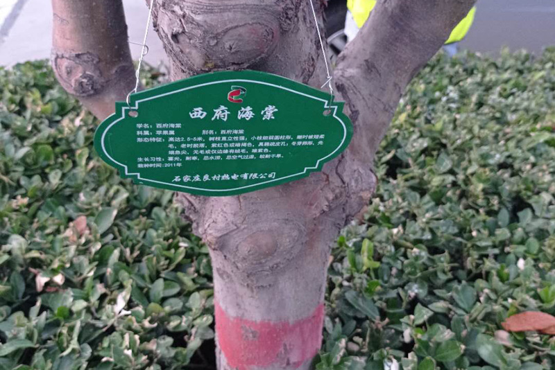 花草牌.jpg