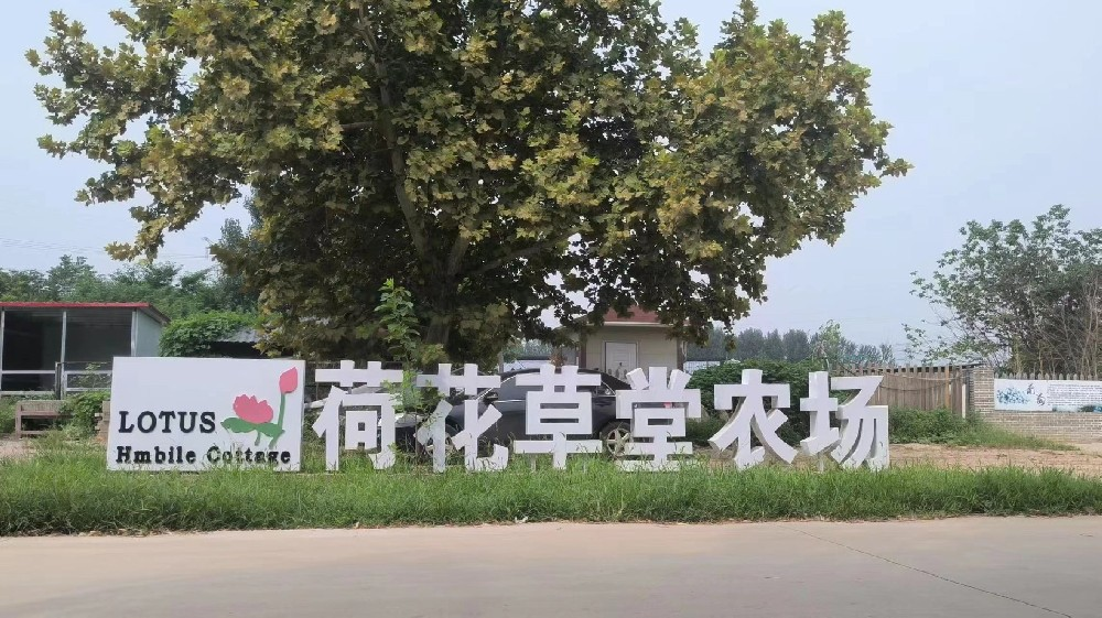 图片49.png